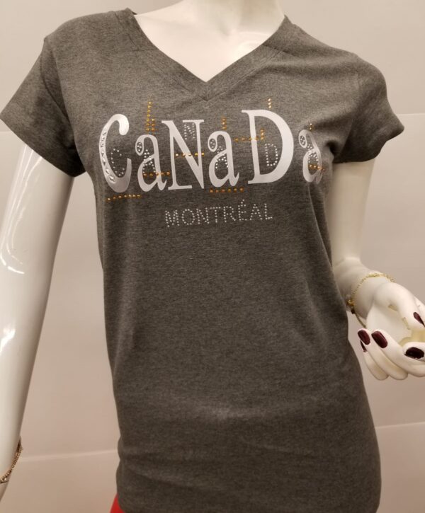 LVTS 601  Silver Canada