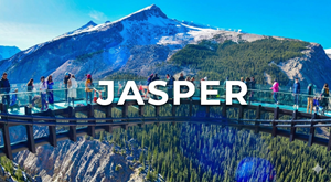 Jasper Zipper Hoodies